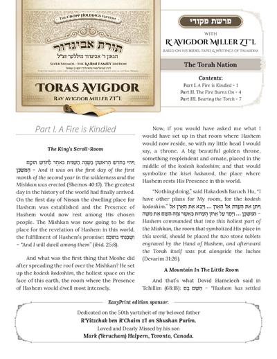 PDF Preview