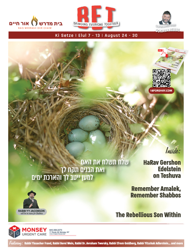 BET Journal — Parshas Ki Teitzei