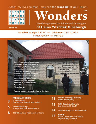 Wonders — Parshas Vayigash