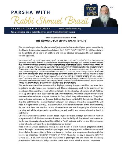 Parsha with Rabbi Shmuel Brazil — Parshas Shoftim