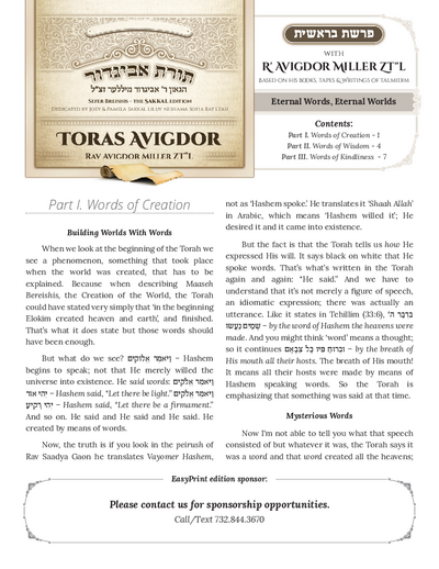 PDF Preview