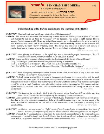 PDF Preview
