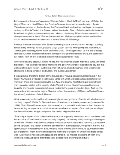 Michal Horowitz - Shiurim & Classes — Parshas Chukas-Balak