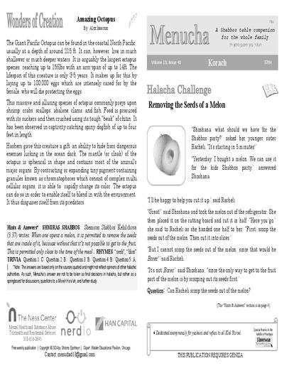 Menucha Magazine — Parshas Korach