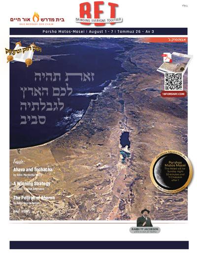 PDF Preview