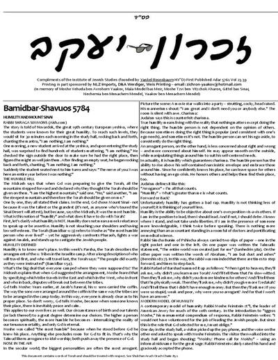 PDF Preview