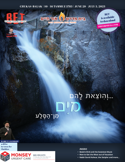 BET Journal — Parshas Chukas-Balak