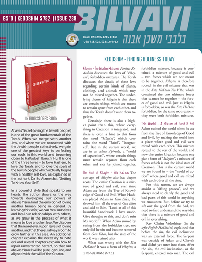 Bilvavi — Parshas Kedoshim
