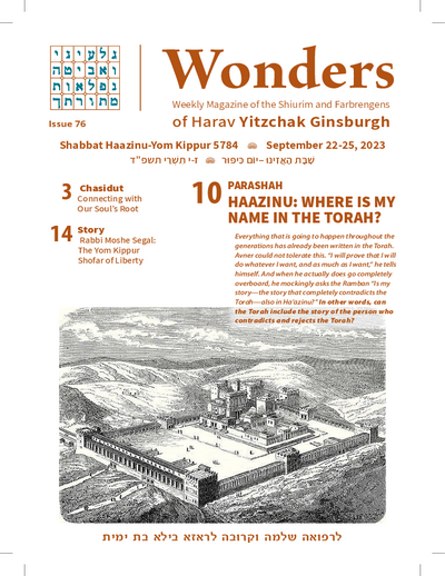 PDF Preview