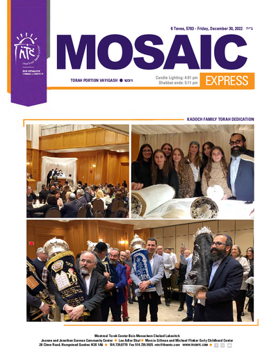 Mosaic Express — Parshas Vayigash