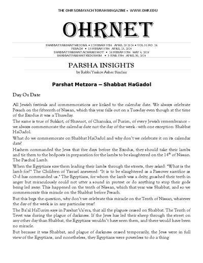 PDF Preview