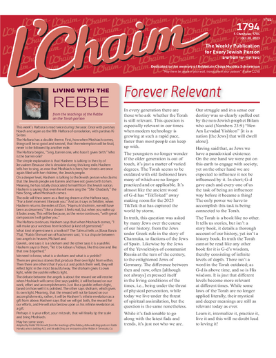 PDF Preview