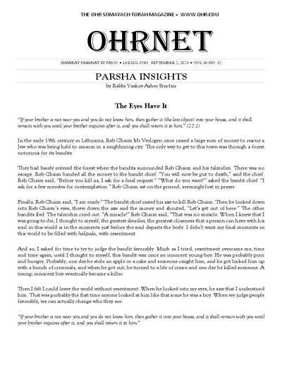 PDF Preview