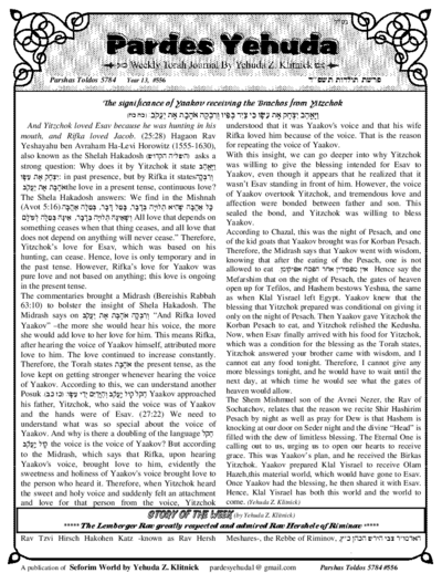 PDF Preview