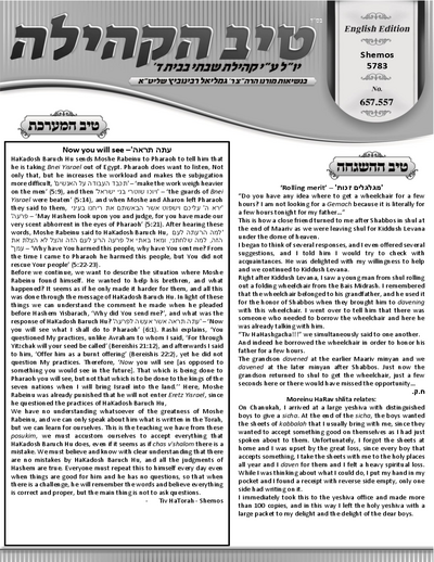 טיב הקהילה English — Parshas Shemos