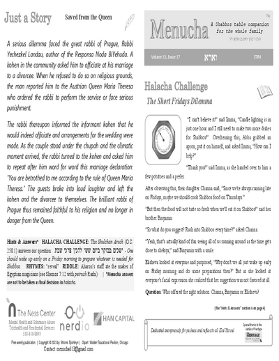 PDF Preview