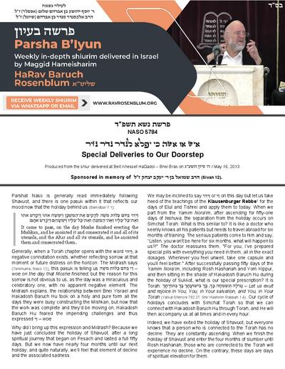 Torah Papers — Parshas Naso