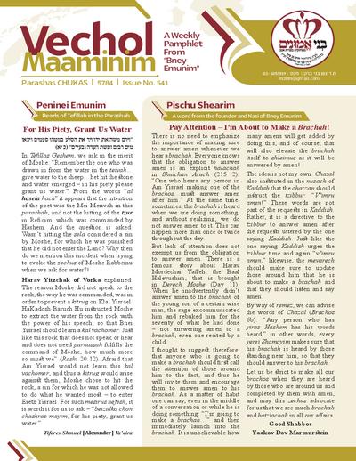 Vechol Maaminim — Parshas Chukas