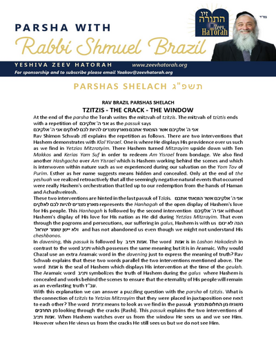 Parsha with Rabbi Shmuel Brazil — Parshas Shlach