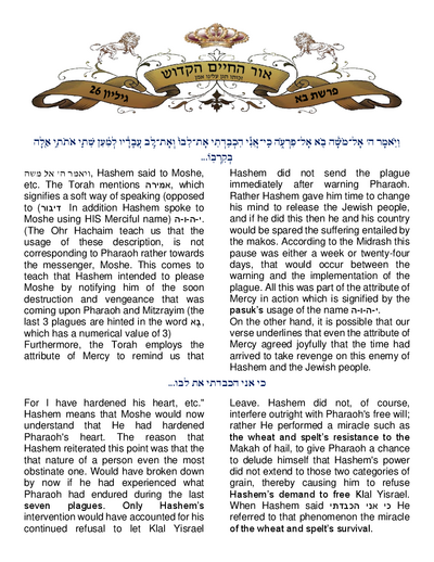 Ohr Hachaim Hakadosh — Parshas Bo