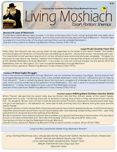 PDF Preview