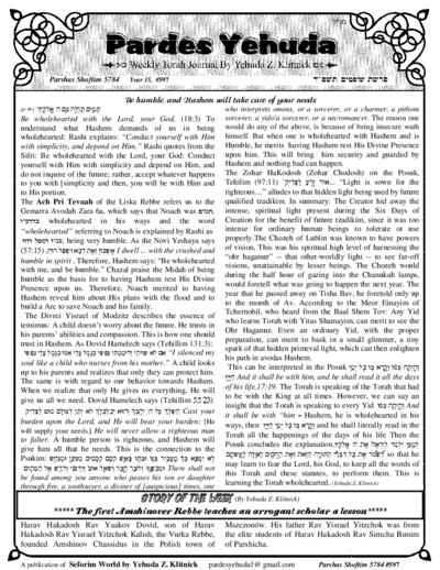 Pardes Yehuda — Parshas Shoftim