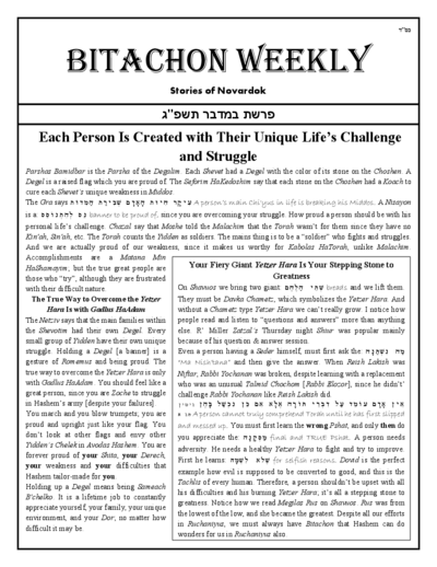 Bitachon Weekly — Parshas Bamidbar