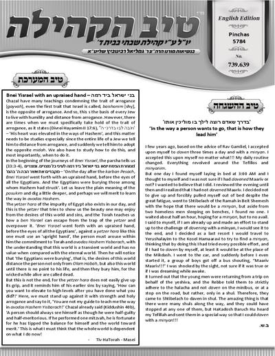 טיב הקהילה English — Parshas Matos-Massei