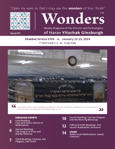 Wonders — Parshas Va'eira