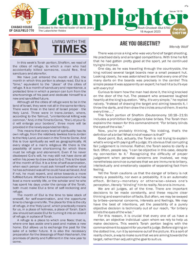PDF Preview