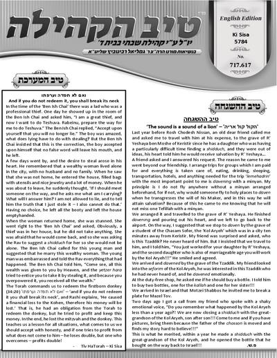 טיב הקהילה English — Parshas Ki Sisa