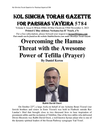 PDF Preview