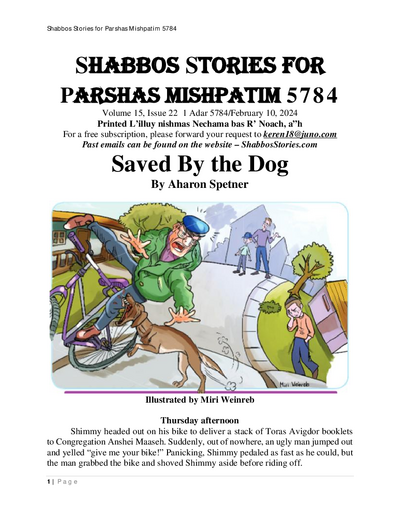 PDF Preview