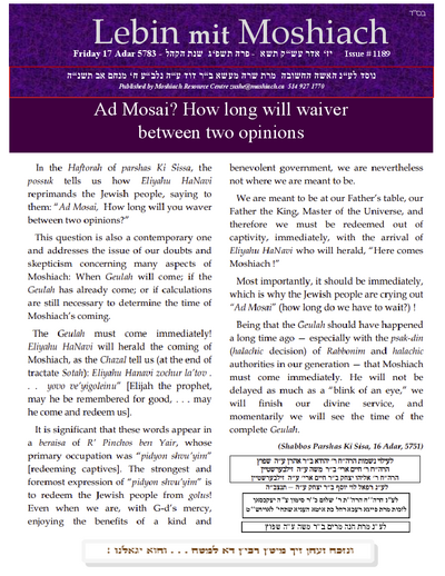 Lebin mit Moshiach — Parshas Ki Sisa