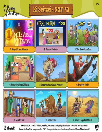Parsha On a Page — Parshas Ki Teitzei
