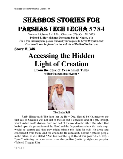 PDF Preview