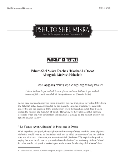 Meshech Chochma — Parshas Ki Teitzei