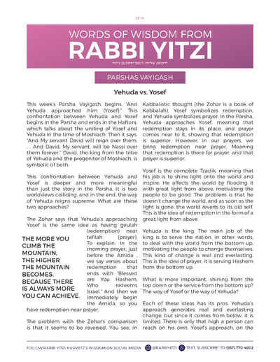 Words of Wisdom from Rabbi Yitzi — Parshas Vayigash