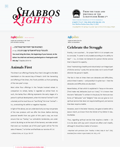 Shabbos Lights — Parshas Emor