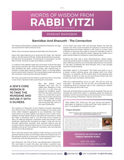 Words of Wisdom from Rabbi Yitzi — Parshas Bamidbar