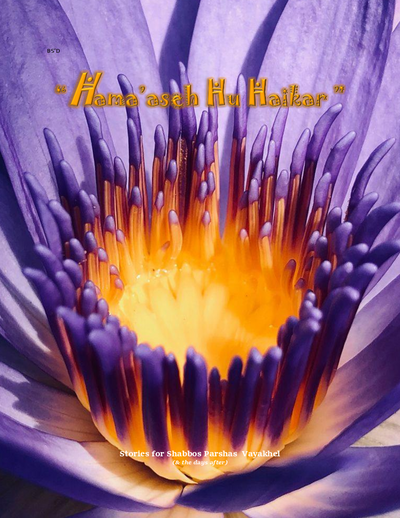 Hama'aseh Hu Haikar — Parshas Vayak'hel
