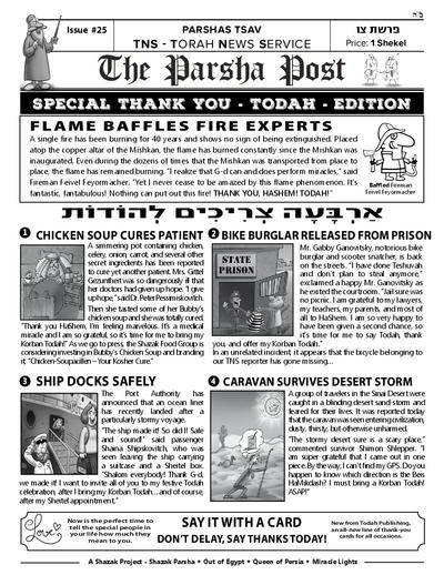 PDF Preview