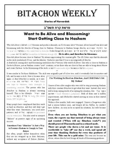 Bitachon Weekly — Parshas Korach