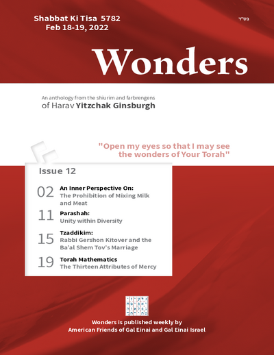 Wonders — Parshas Ki Sisa