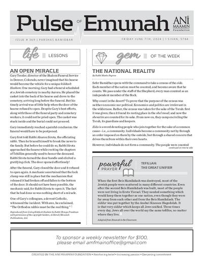 PDF Preview