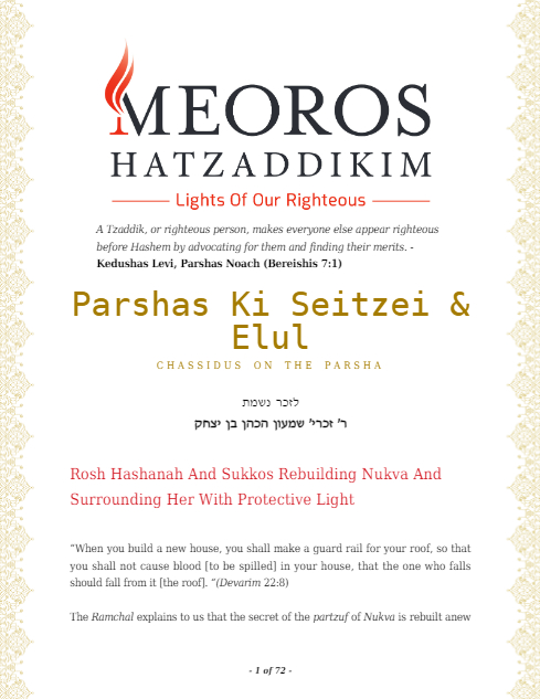 Me'oros Hatzaddikim — Parshas Ki Teitzei