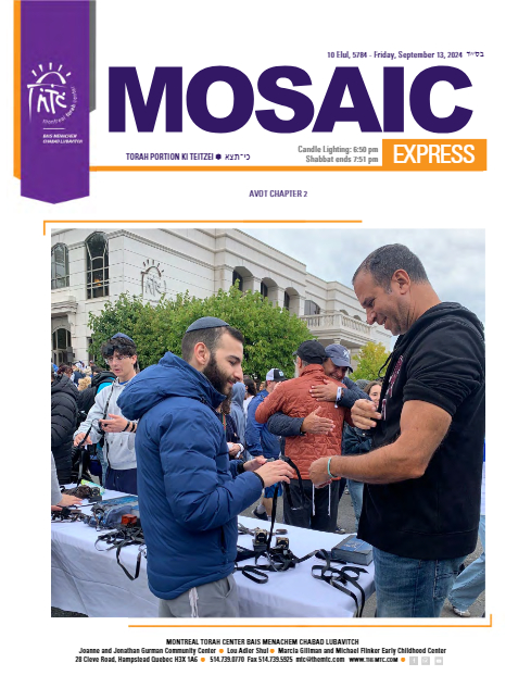 Mosaic Express — Parshas Ki Teitzei