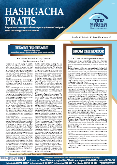 PDF Preview