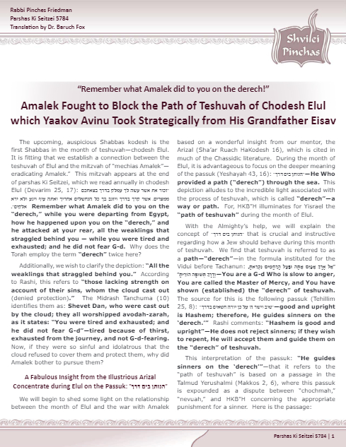 PDF Preview
