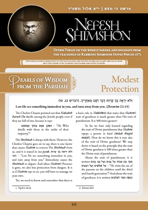 Nefesh Shimshon — Parshas Ki Teitzei
